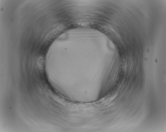 X0000088620036200706081533