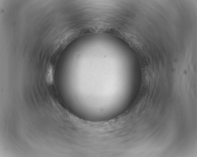 X0000088620042200706081533