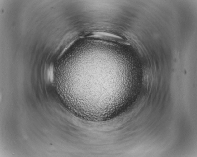 X0000088620046200706081533