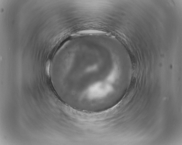 X0000088620047200706081533
