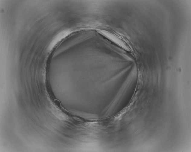 X0000088620054200706081532