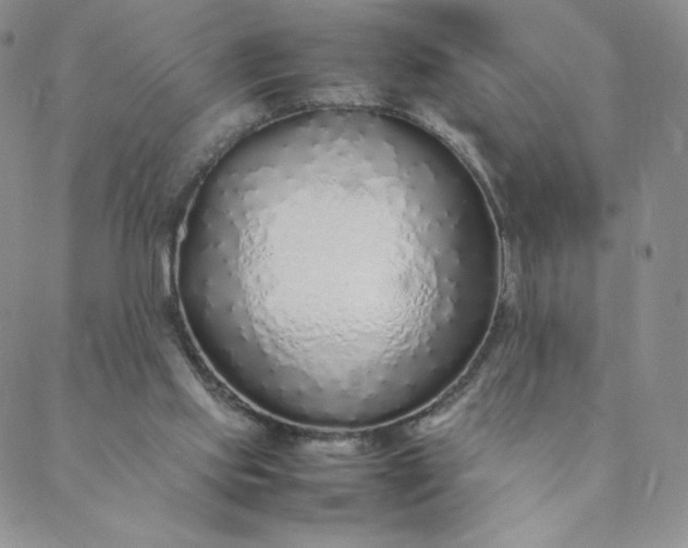 X0000088620061200706081532