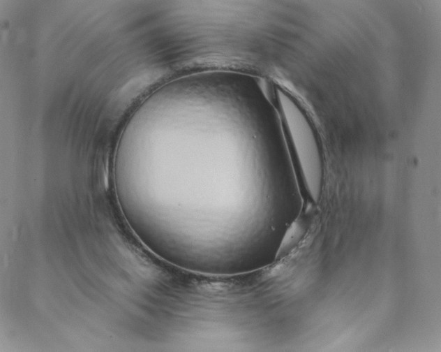 X0000088620062200706081532