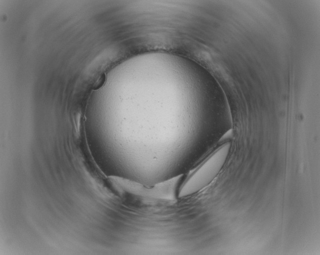 X0000088620070200706081532