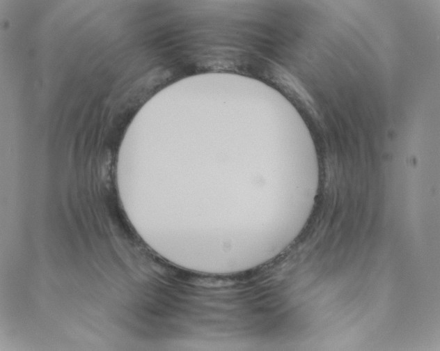 X0000088620073200706081532