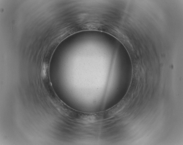 X0000088620075200706081532