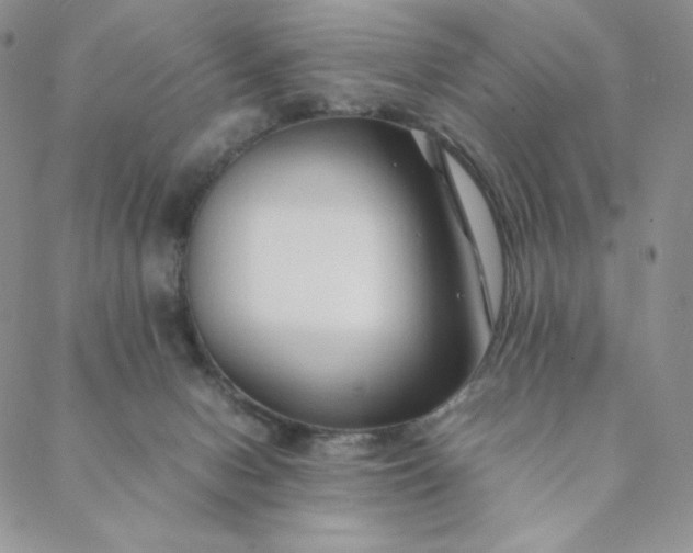 X0000088620078200706081532
