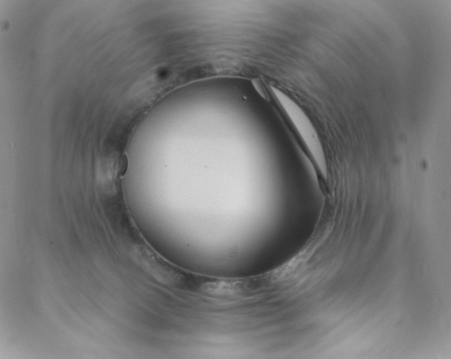 X0000088620082200706081532