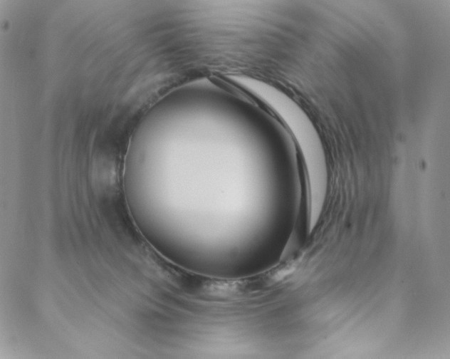 X0000088620084200706081532