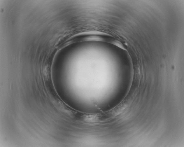X0000088620088200706081532
