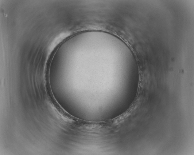 X0000088620104200706081532
