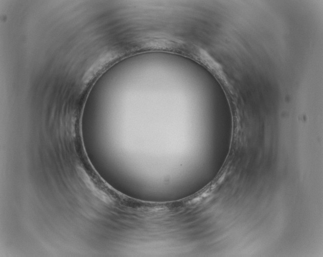 X0000088620106200706081532