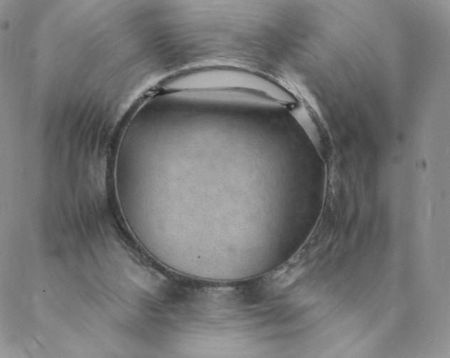 X0000088620108200706081532