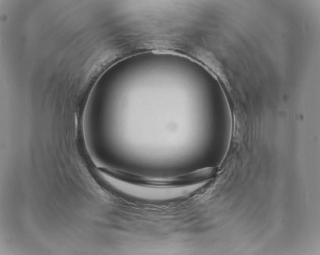 X0000088620109200706081532