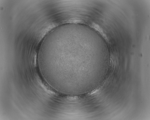 X0000088620110200706081532