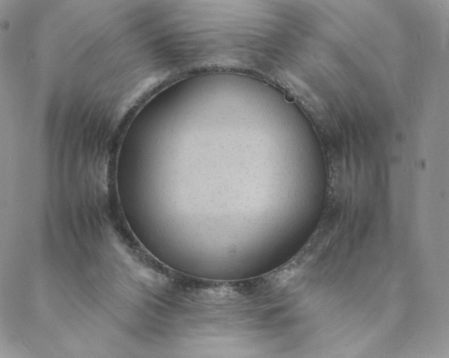 X0000088620112200706081532