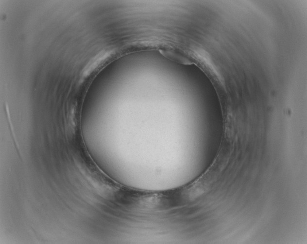 X0000088620116200706081531