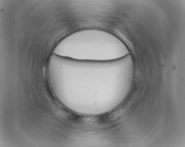 X0000088620117200706081531
