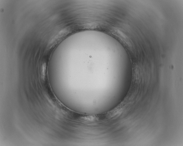 X0000088620118200706081531