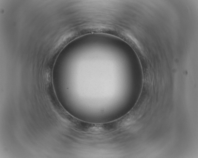 X0000088620119200706081531