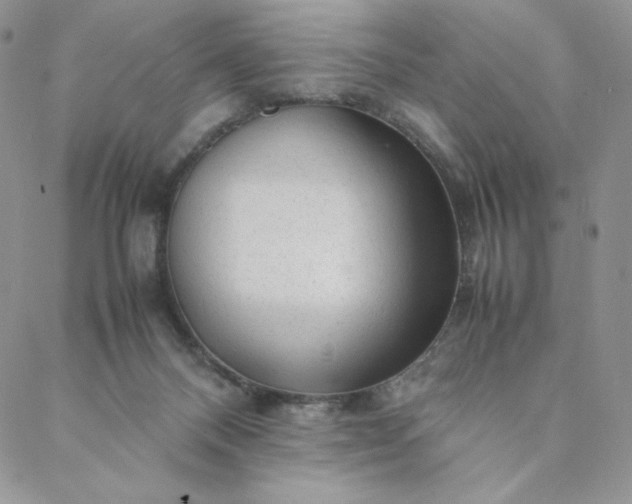 X0000088620120200706081531