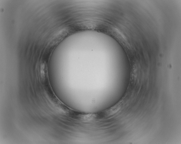 X0000088620122200706081531