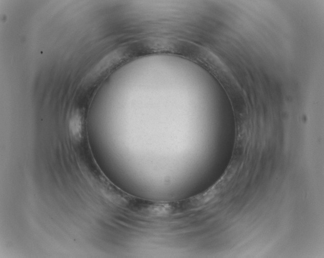 X0000088620124200706081531