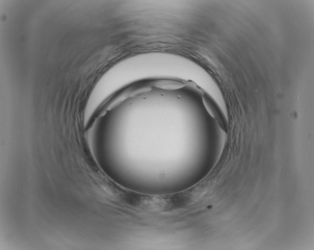 X0000088620125200706081531