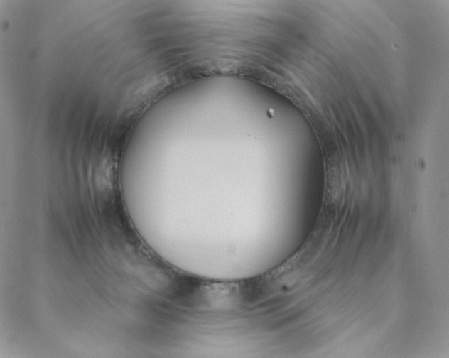 X0000088620126200706081531