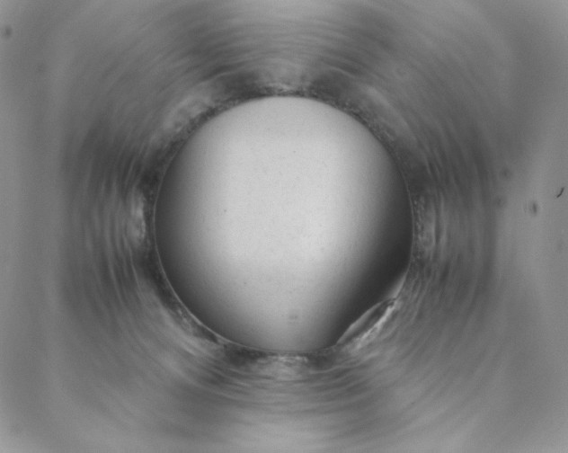 X0000088620128200706081531