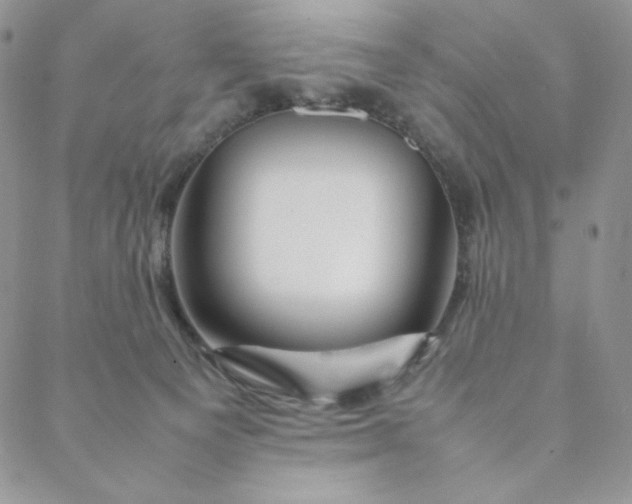 X0000088620129200706081531