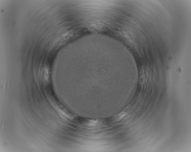X0000088620130200706081531