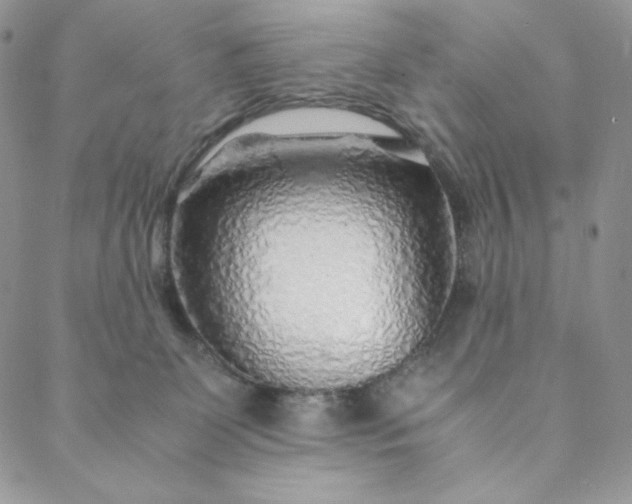 X0000088620131200706081531