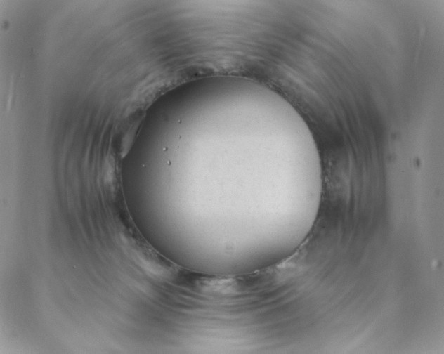X0000088620132200706081531
