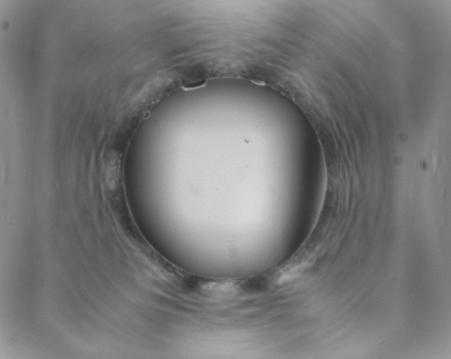 X0000088620133200706081531