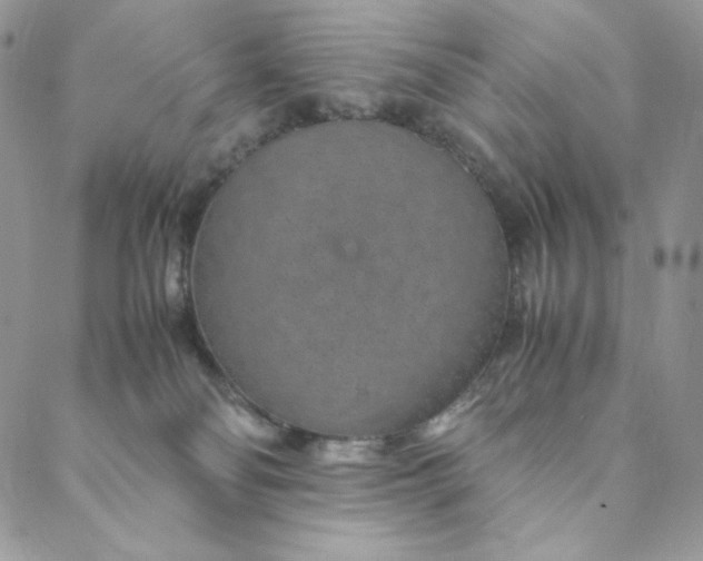 X0000088620134200706081531