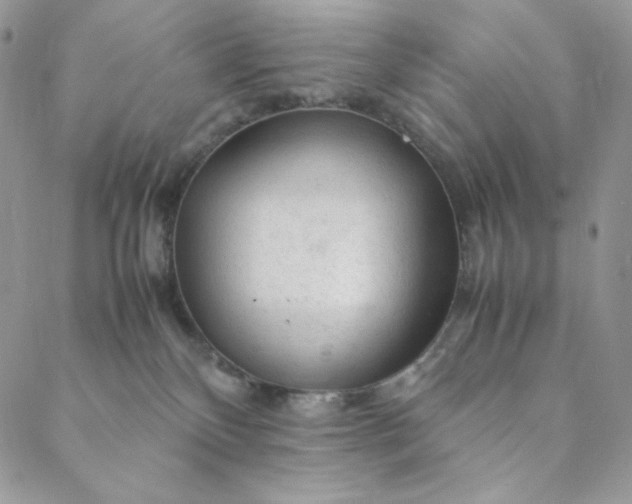 X0000088620136200706081531