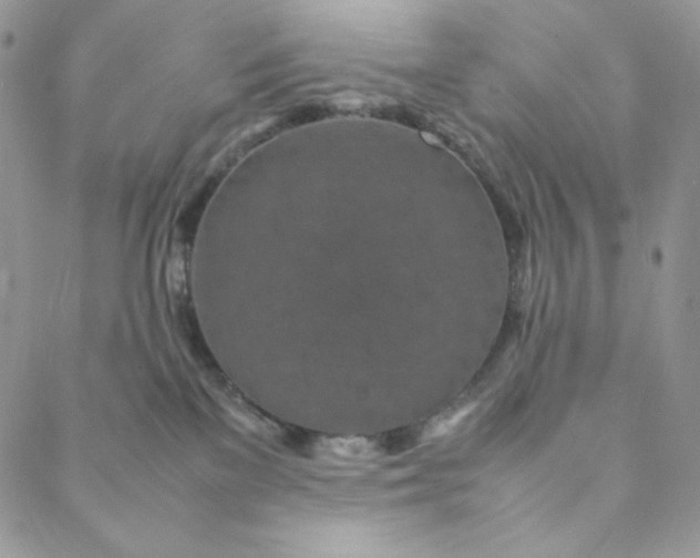 X0000088620137200706081531