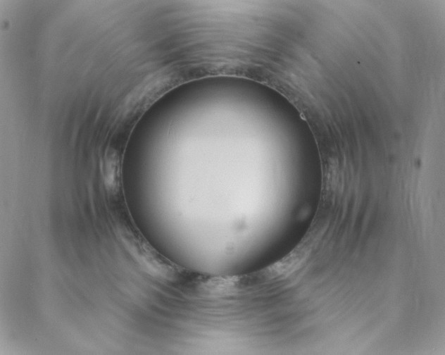 X0000088620138200706081531