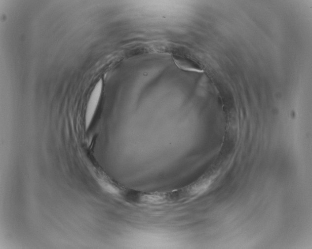 X0000088620139200706081531
