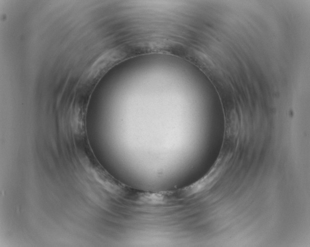 X0000088620140200706081531