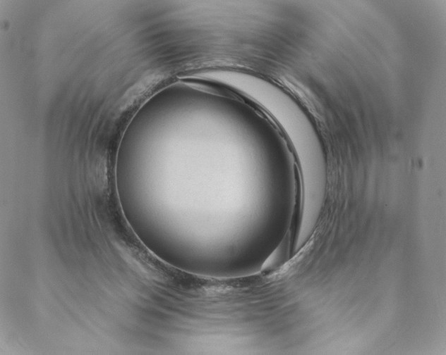 X0000088620158200706081530
