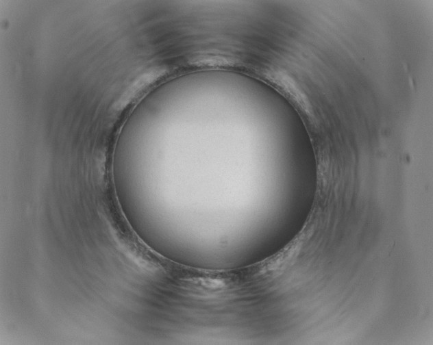 X0000088620159200706081530
