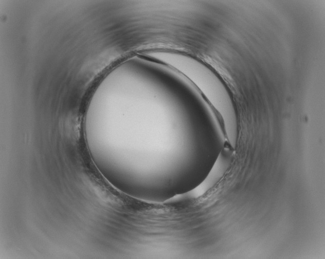 X0000088620160200706081530