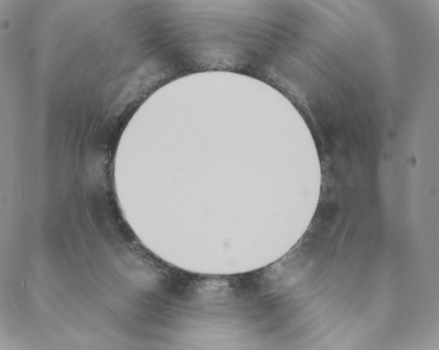 X0000088620162200706081531