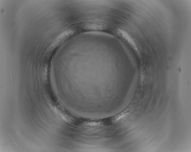 X0000088620163200706081531