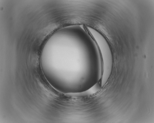 X0000088620164200706081531