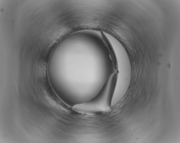 X0000088620168200706081531