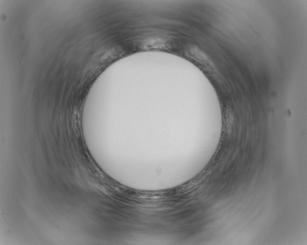 X0000088620169200706081531