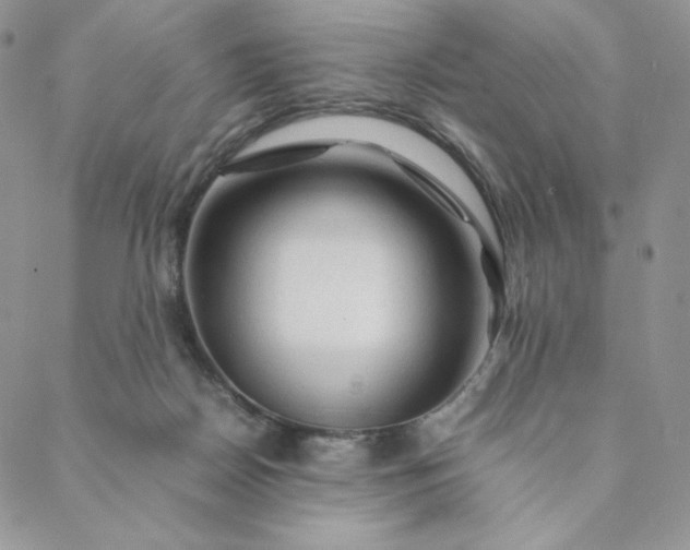 X0000088620170200706081531